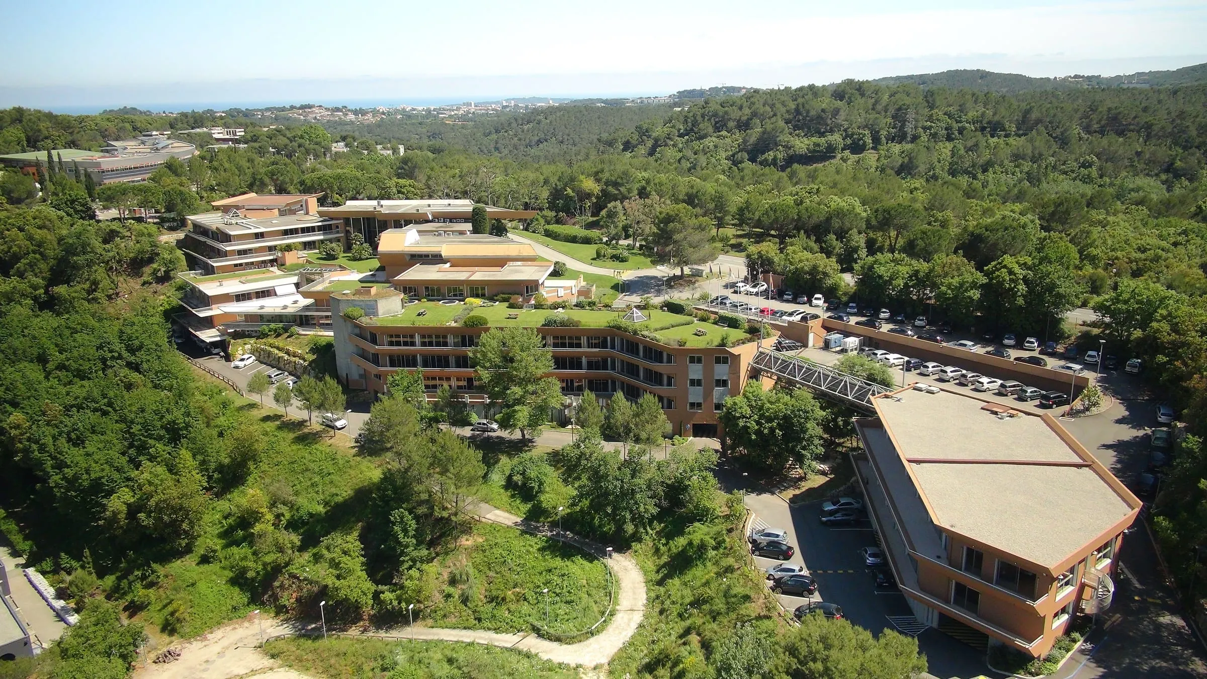 Le parc d'activités de Sophia Antipolis dans la pinède